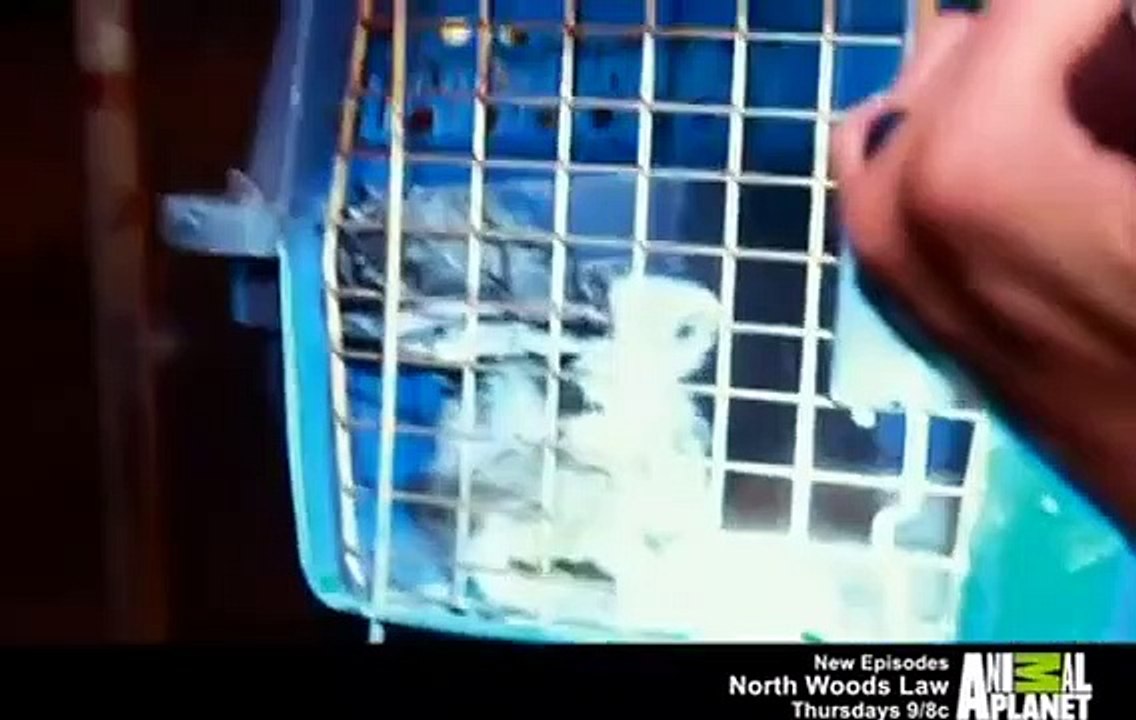 Lone Star Law - Se1 - Ep06 - Gator Bait HD Watch HD Deutsch