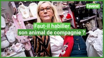 Des vêtements pour les animaux de compagnie