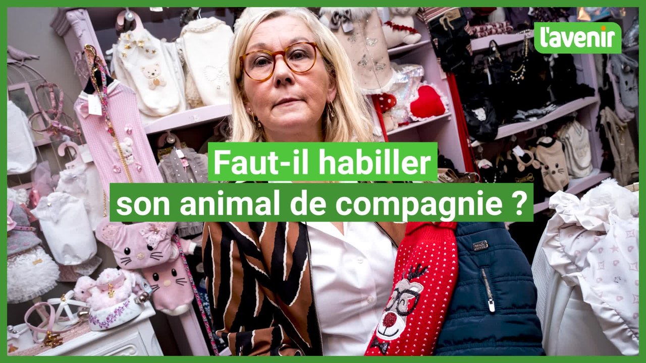 Des vêtements pour les animaux de compagnie
