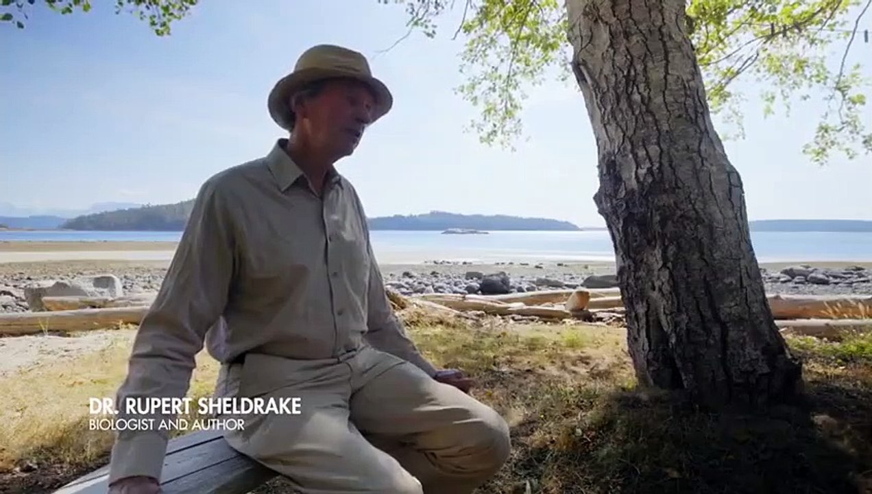 Mister Tachyon - Se1 - Ep05 - Can Our Minds Cross Time and Space HD Watch HD Deutsch