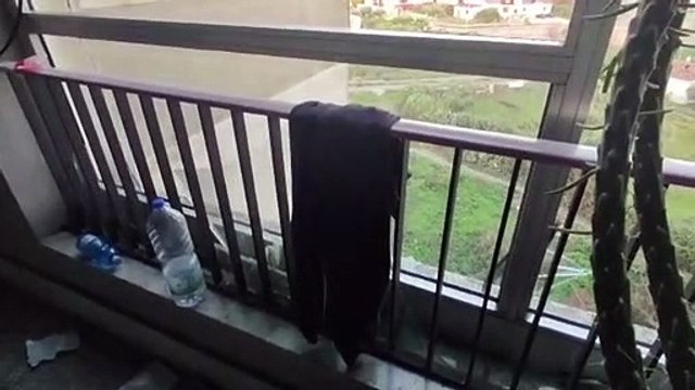 Le immagini della strage di Catanzaro, la vittima più giovane aveva 12 anni