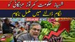 Shahbaz government has completely failed to curb inflation