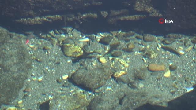 Evliya Çelebi'nin Seyahatnamesi'nde bahsettiği su kaynağında esrarengiz olay!