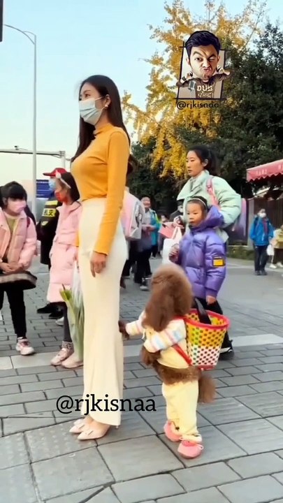 WALK N TALK JINGOLI _ KISNA _ Dub Kendra #shorts #ytshorts #dog  #behenkonaman