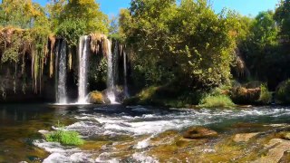 Relaxing Forest Waterfall Sound | Relaxing Music | Water sound | Waterfall sound | Forest Sound | stress relief sound | forest | morning bird sound | Deep peace Sound | peaceful