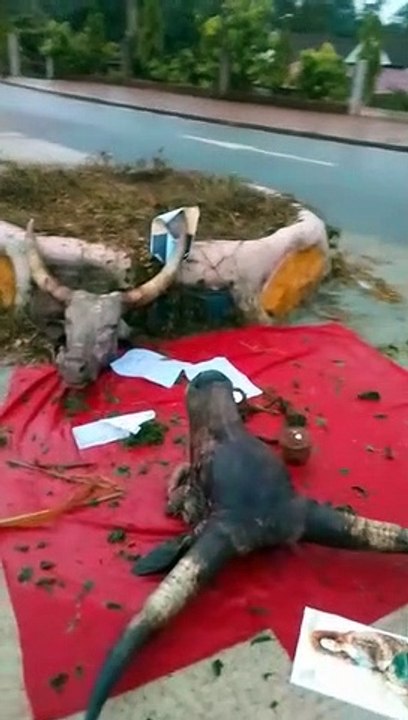 Magie_Noire à Nanga Eboko au Cameroun