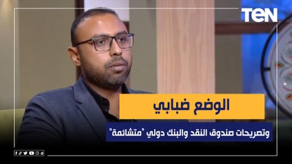 خبير إقتصادي: الوضع ضبابي.. وتصريحات صندوق النقد والبنك دولي "متشائمة"