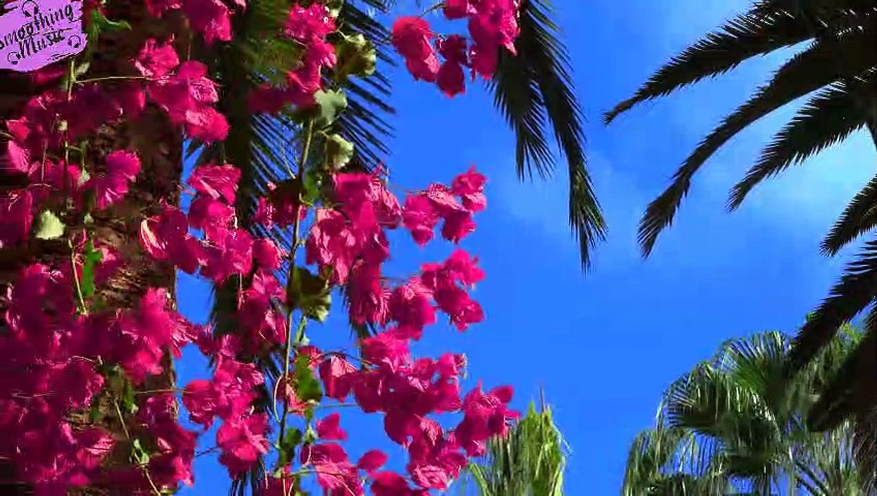 Beautiful Relaxing Hymns, Peaceful Instrumental Music, "Saturday Morning Sunrise"