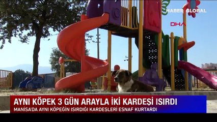 Manisa'da 3 gün arayla aynı köpek 2 kardeşi ısırdı; o anlar kamera
