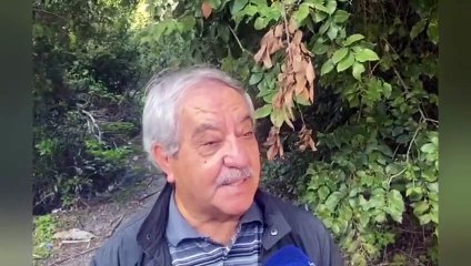 Tragedia di Catanzaro, Piero Romeo: "Era una famiglia splendida ma sola"