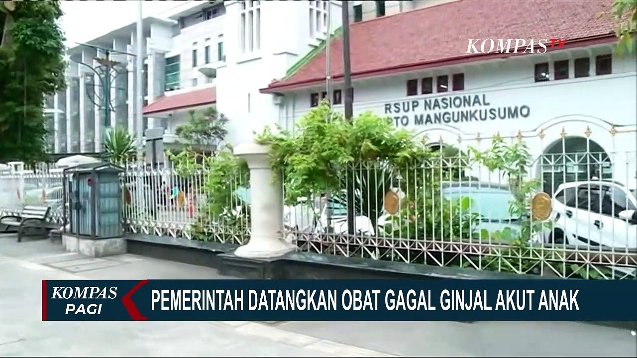 Kabar Baik! Solusi Gagal Ginjal Akut, Pemerintah Datangkan Obat Fomepizole dari Singapura