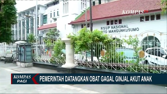 Kabar Baik! Solusi Gagal Ginjal Akut, Pemerintah Datangkan Obat Fomepizole dari Singapura