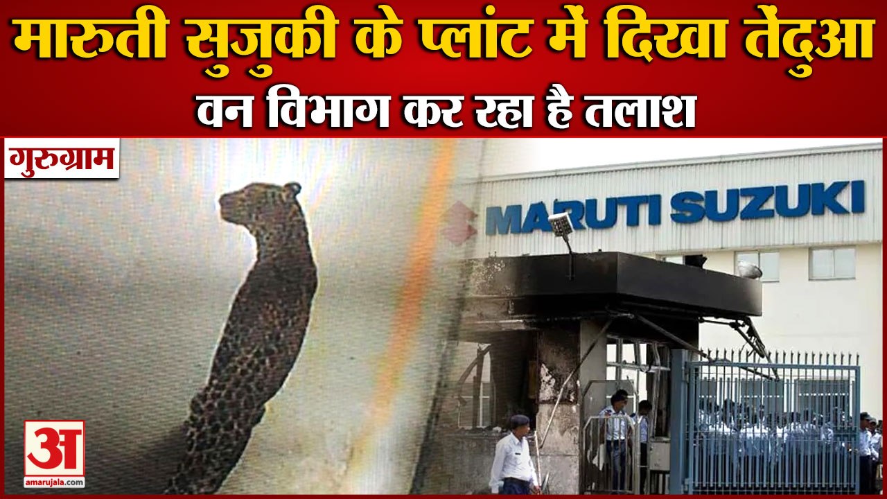 Leopard Seen In Maruti Suzuki Plant In Gurugram|मानेसर में मारुती सुजुकी के प्लांट में दिखा तेंदुआ
