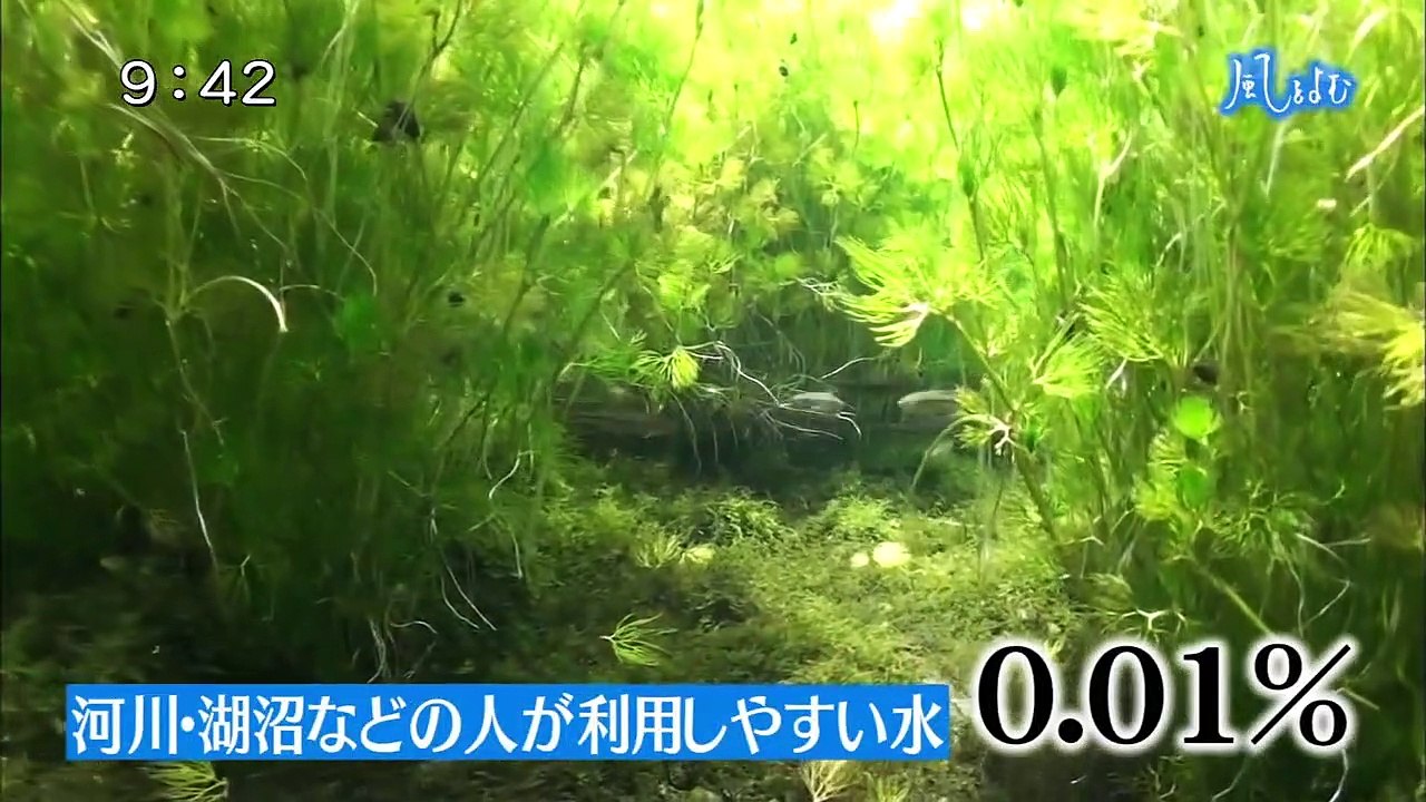 サンデーモーニング 風をよむ「水」 20180805