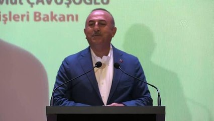 Çavuşoğlu: "Türkiye, enerjide bir hat, bir üs oldu. Putin'in son teklifinin sebebi budur"