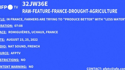 FNSEA : “On parle de blé, de lait, de sucre, qui pourraient manquer cet hiver” à cause de la pénurie d'essence