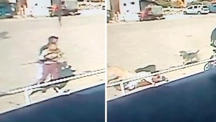 Henüz 12 yaşındaydı! Sokak ortasında hepsi birden üzerine saldırdı, şimdi ölümle cebelleşiyor