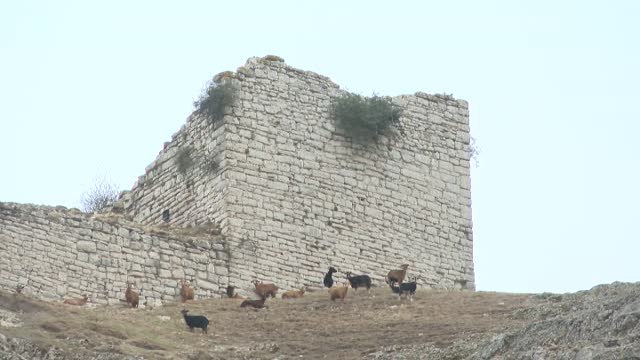 Jorge Rey, el joven meteorólogo que predijo Filomena, prevé un otoño lluvioso y un invierno largo