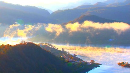 '붕어섬' 열렸다...옥정호 출렁다리 개통 / YTN