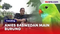Anies Baswedan Main Burung dan Bikin Lawakan Garing Usai Tak Menjabat, Netizen: Healing Dulu