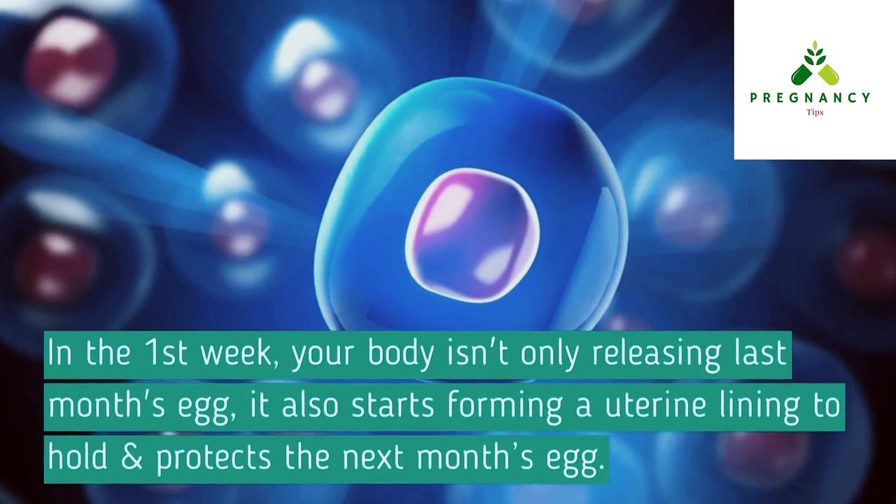 1 Week pregnancy