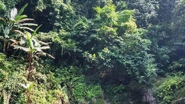 Dünya ile bağlantısı olmayan kabileyi görmeye gittiler, karşılaştıkları manzara yüzünden çığlık çığlığa kaçtılar