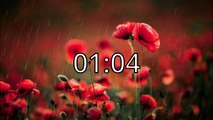 2 minute timer Flower in Rain with relaxation music - Relaxing with Timers