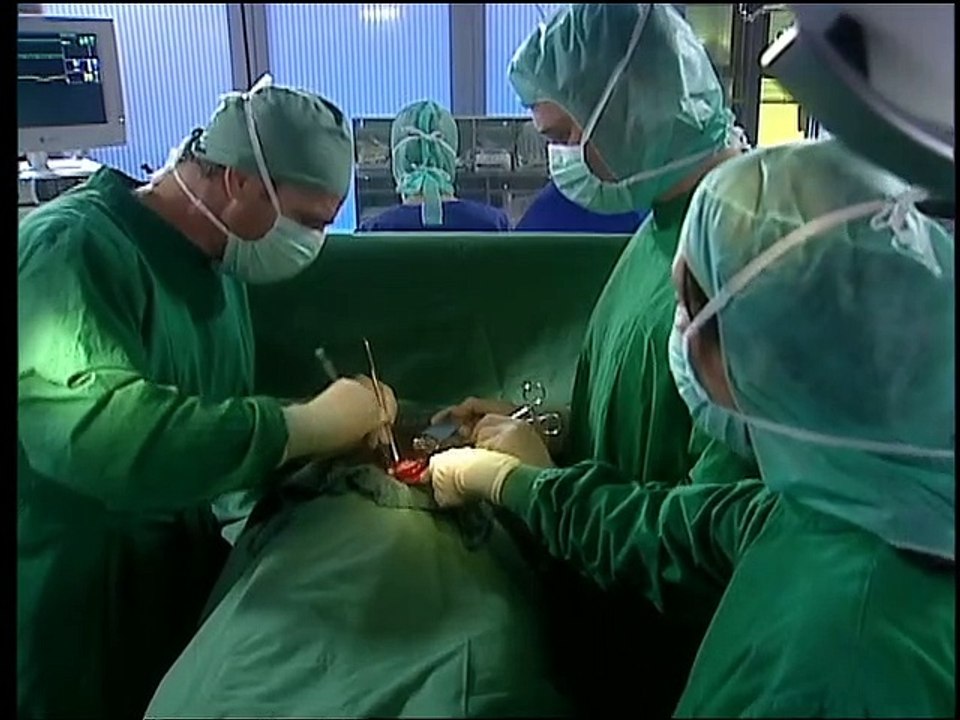 Alphateam - Die Lebensretter im OP Staffel 8 Folge 2 HD Deutsch