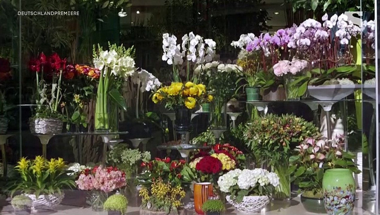 Call My Agent! Staffel 1 Folge 2 HD Deutsch