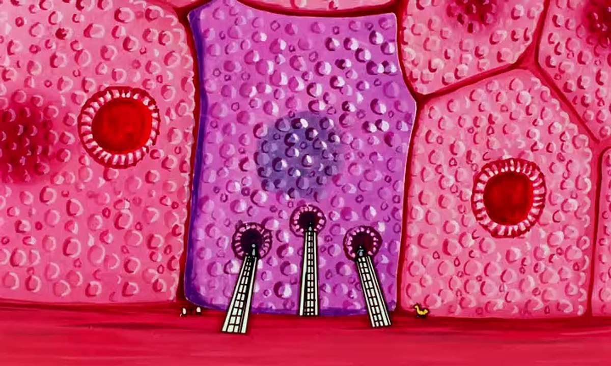 Es war einmal … das leben staffel 1 folge 1 hd deutsch