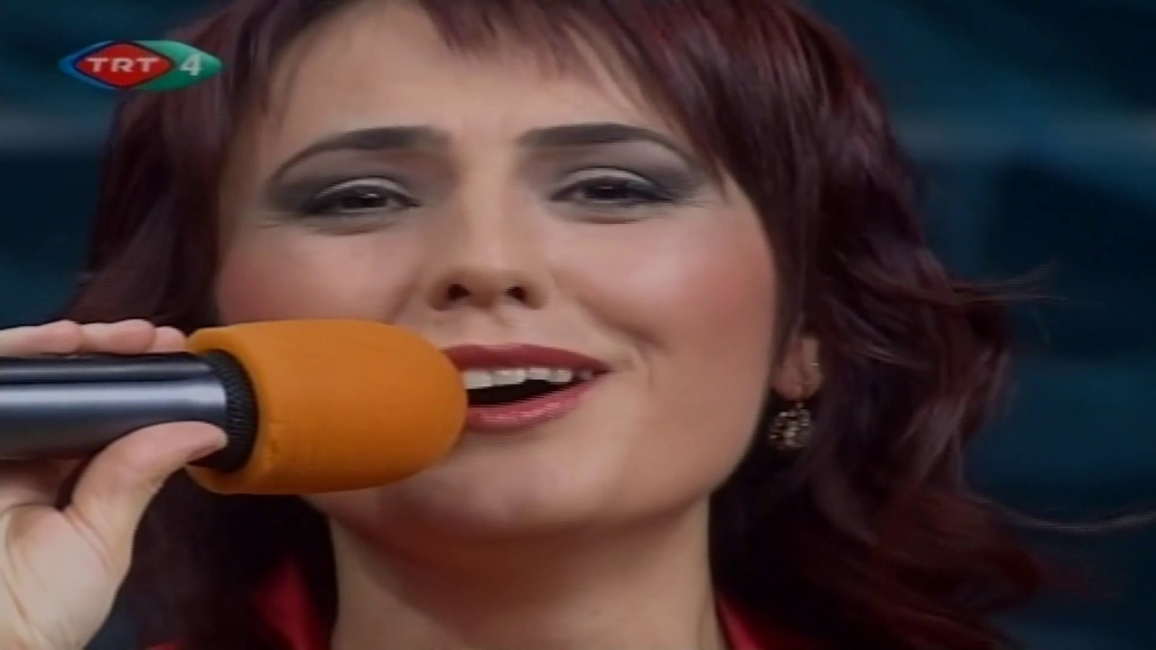 Neşe Dursun / Uzun yıllar bekledim hakikat oldu rüya