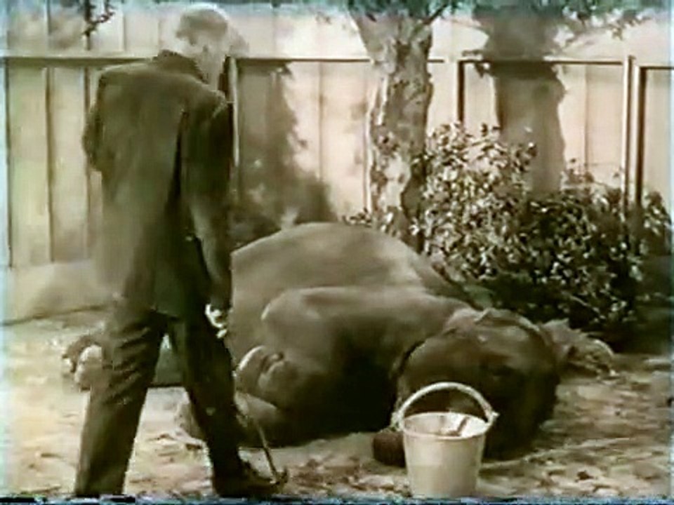 Mr. Ed Staffel 3 Folge 3 HD Deutsch