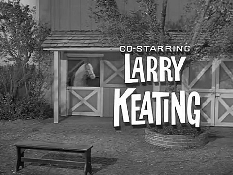 Mr. Ed Staffel 2 Folge 25 HD Deutsch