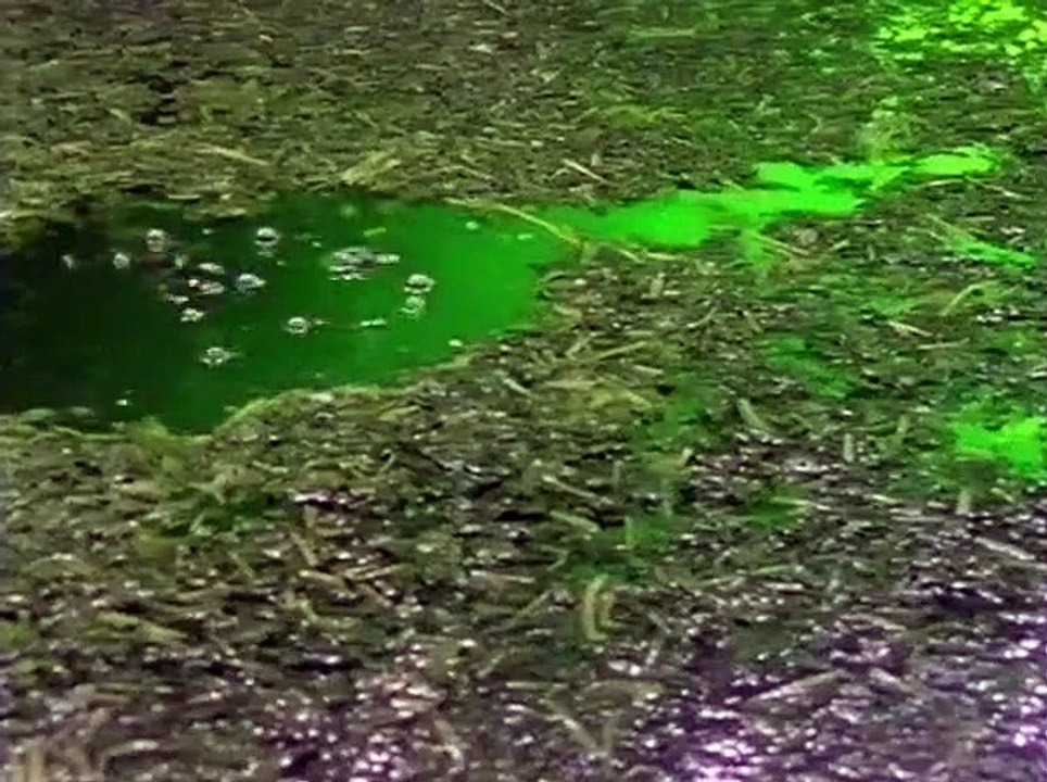 Bugs - Die Spezialisten Filme 1 HD Deutsch