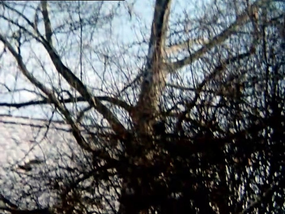 Der feuersturm staffel 1 folge 7 - part 01 hd deutsch