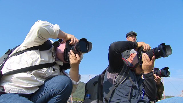 진도의 비경과 문화 사진 속으로...전국 작가 촬영 대회 / YTN