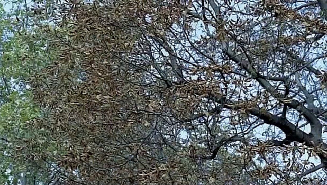 Fred Vargas - Fliehe weit und schnell Staffel 1 Folge 2 - Part 02 HD Deutsch