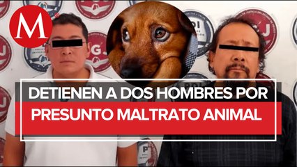 Hombres son detenidos por agredir con machetes a perritos callejeros en Naucalpan