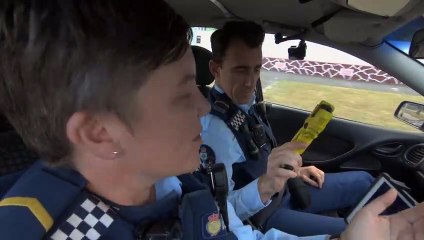 Wellington Paranormal Staffel 1 Folge 5 HD Deutsch