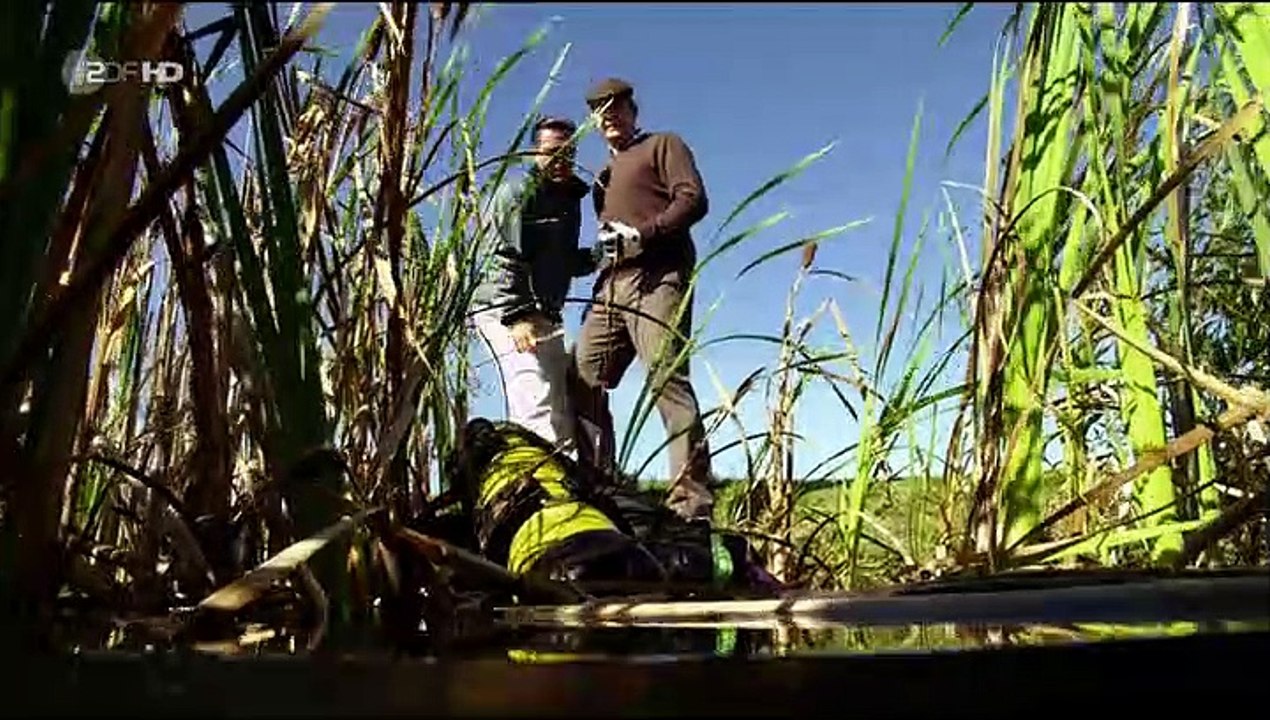 Soko wismar staffel 10 folge 20 hd deutsch