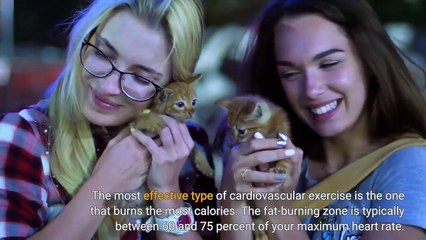 Find the Perfect Cardio Workout for Your Fitness Goals 🏃‍♂️