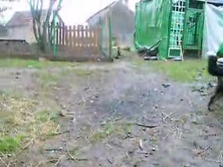 Chuna et les biquettes