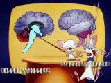 Pinky & der Brain Staffel 2 Folge 7 HD Deutsch