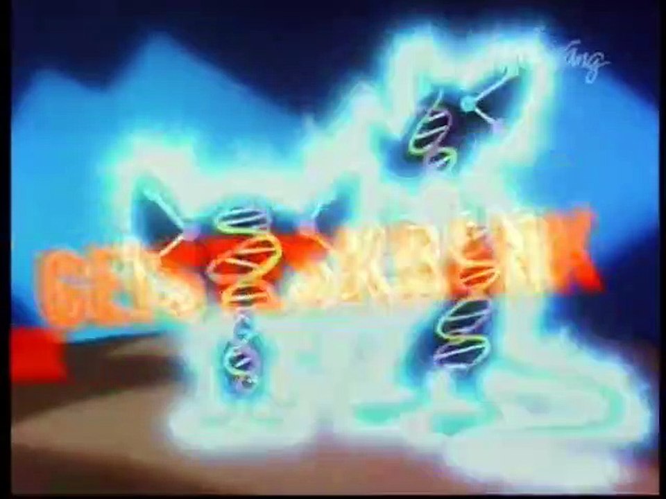 Pinky & der Brain Staffel 3 Folge 3 HD Deutsch