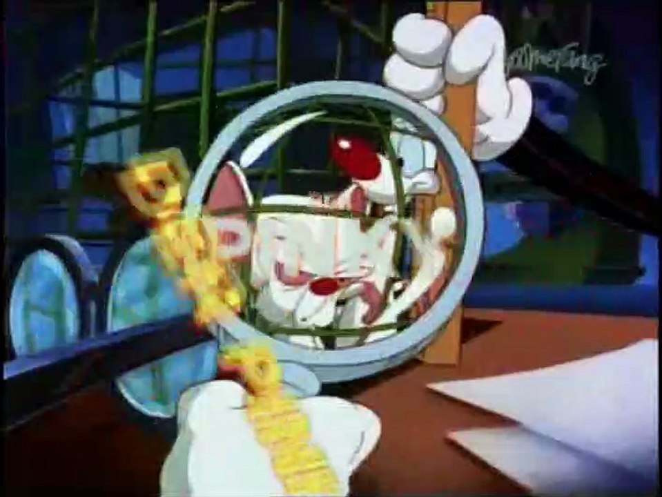 Pinky & der Brain Staffel 3 Folge 5 HD Deutsch