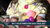 Bayi Usia 11 Bulan di Aceh Ini Cuci Darah Hingga 5 Kali, Berhasil Sembuh dari Gagal Ginjal Akut!