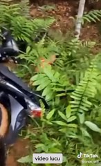 lucu lucu viral 2022' on TikTok