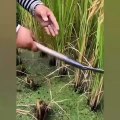 Best Oddly Satisfying Video __ Những video triệu view, thỏa mãn người xem trên tik tok P.104