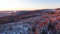 See Christmas tree with Snow fall |Sea beautiful places