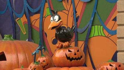 놀이공원에 붐비는 가을 나들이객들...지금은 '핼러윈 축제' / YTN